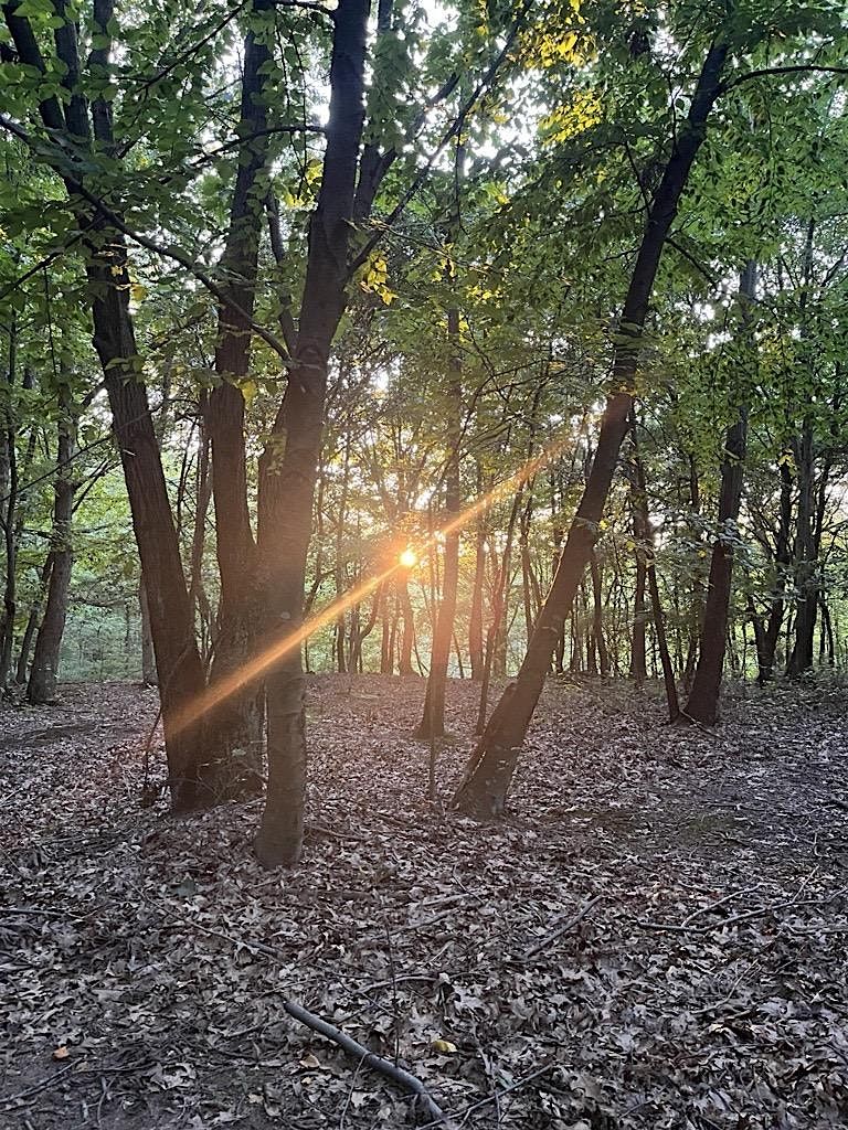 Sunrise Hike