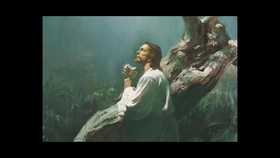 Waterfall Ward Elders Quorum & Relief Society Lesson