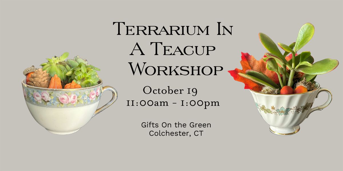 Terrarium In A Teacup Workshop