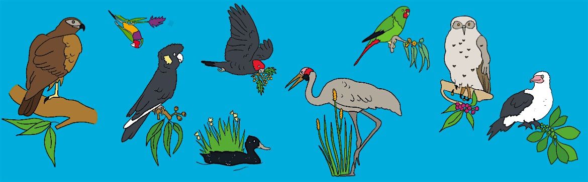 Become a Bird Nerd \u2013 An identification walk using the Aussie Bird Count App