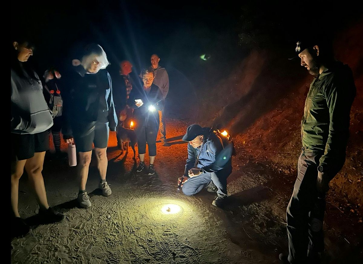 Full Moon Nature Night Hike