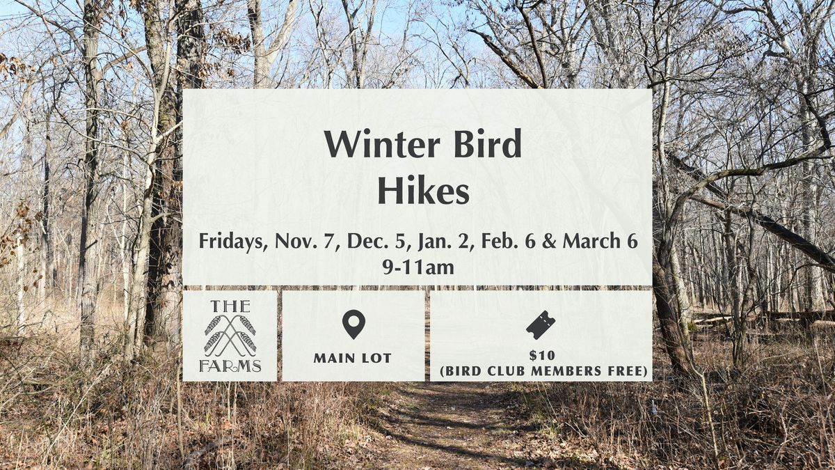 Winter Bird Hikes