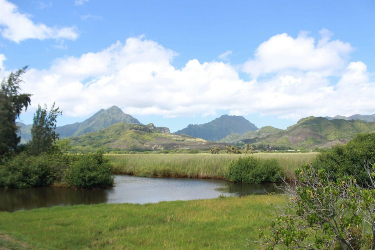 Mindful Self Compassion in Nature