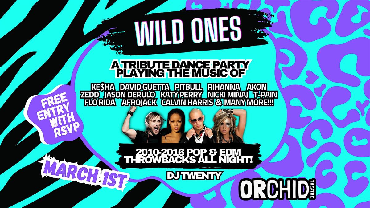 Wild Ones - 2010's Pop & EDM Tribute Dance Party