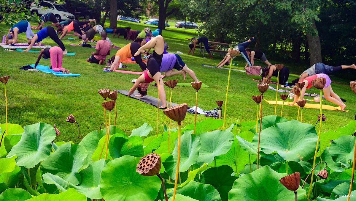 Slo & Lo: A Chill Outdoor Yin Yoga Experience w\/ Tanesha 8\/17 at 11a