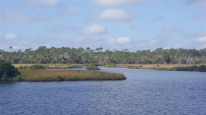 Spruce Creek Preserve\/ Doris Leeper Park, Coastal Cleanup 2025