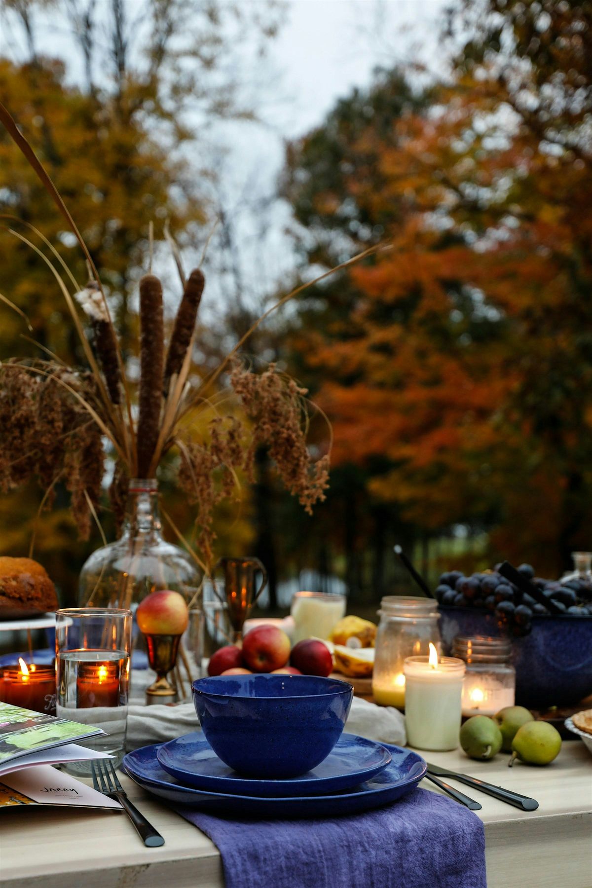 Seasonal Cook and Feast