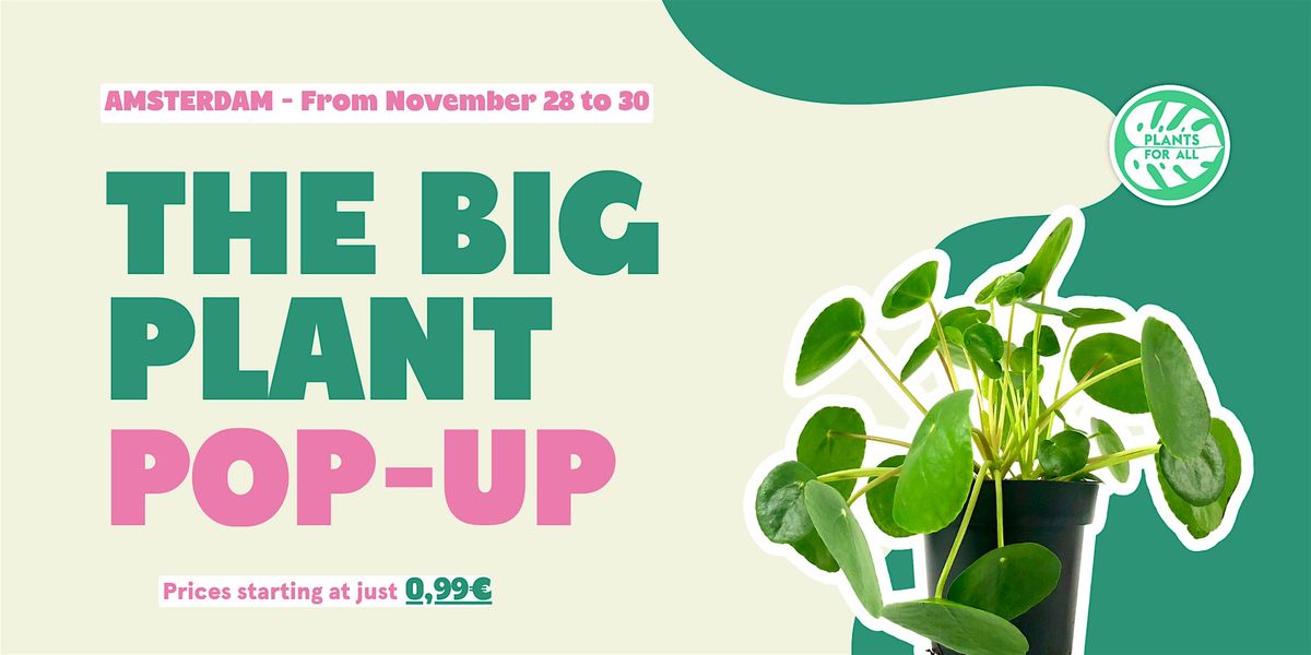 The Big Plant Pop-Up - Amsterdam
