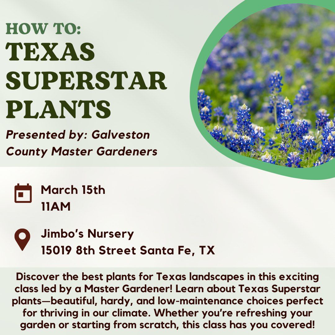 How To: Texas Superstar Plants with the Galveston County Master Gardeners