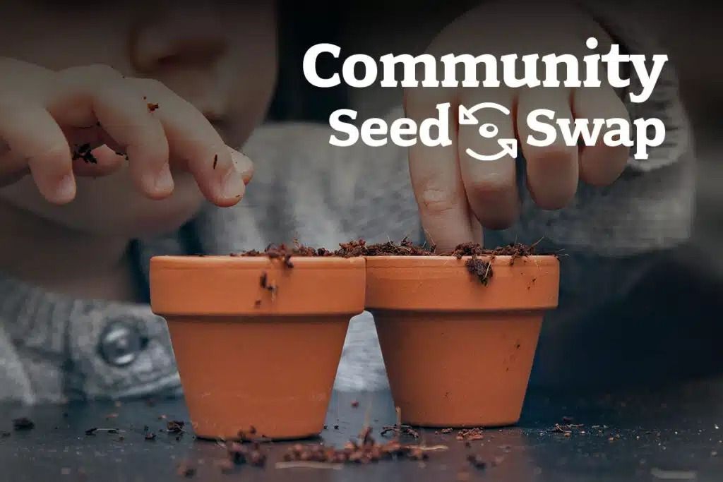 Community Seed Swap