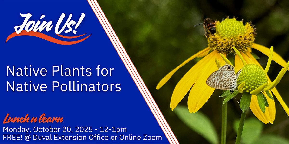 Native Plants for Native Pollinators (In Person & Online)