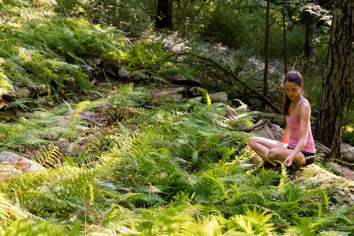 Root & Rise: An Immersive Forest Experience for Women