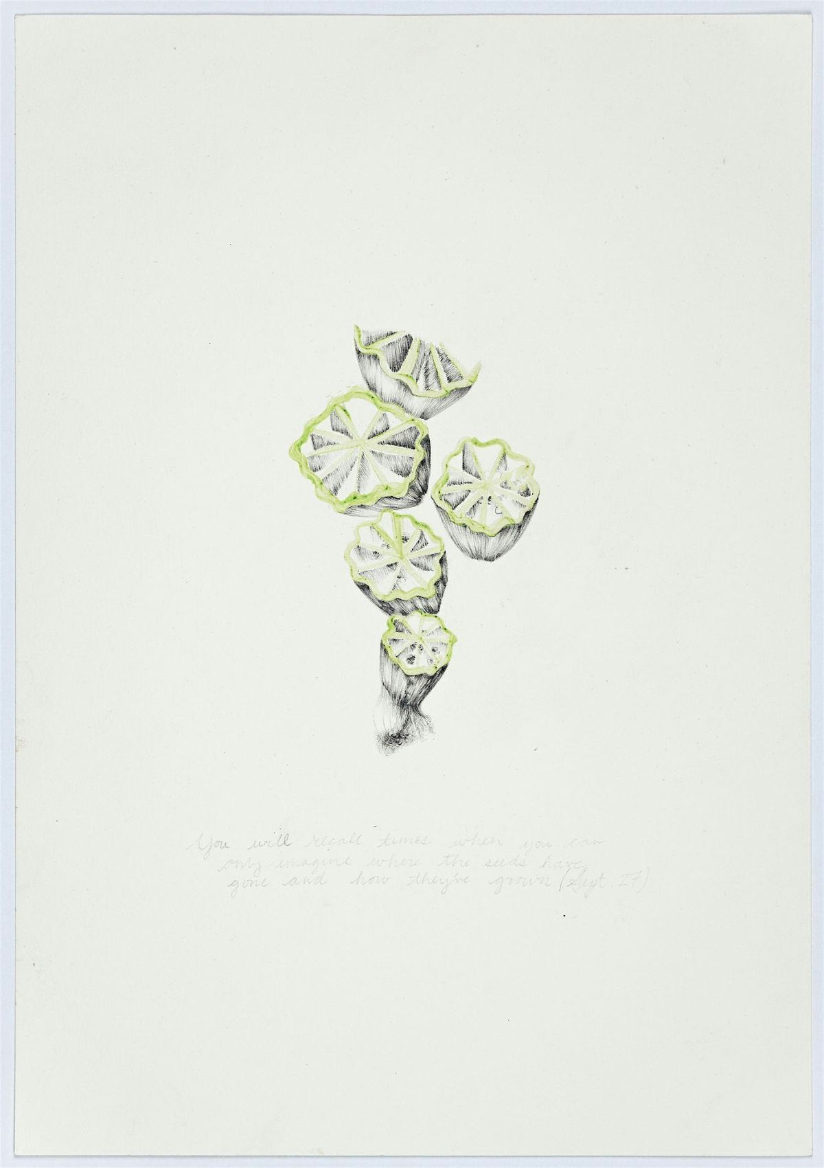 IN-PERSON: Artist Temitayo Ogunbiyi in Conversation with Siddhartha Mitter