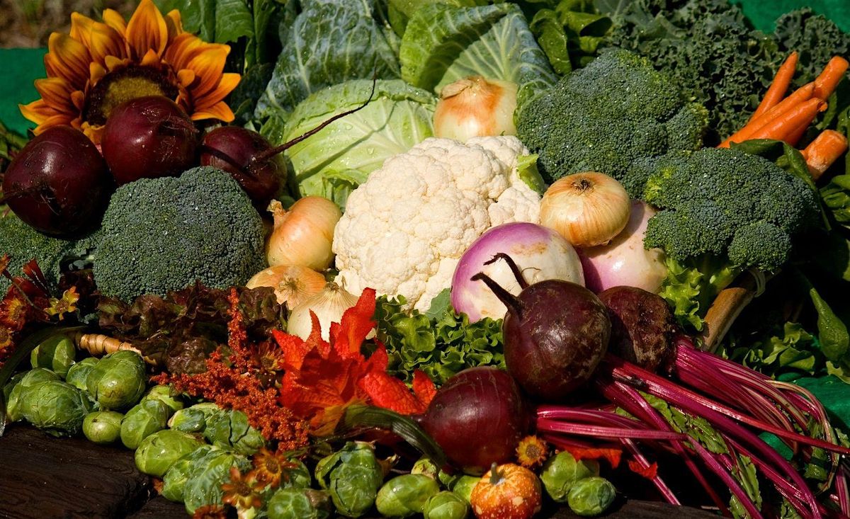 Vegetable Gardening with a Master Gardener (Garden Tour\/Class)