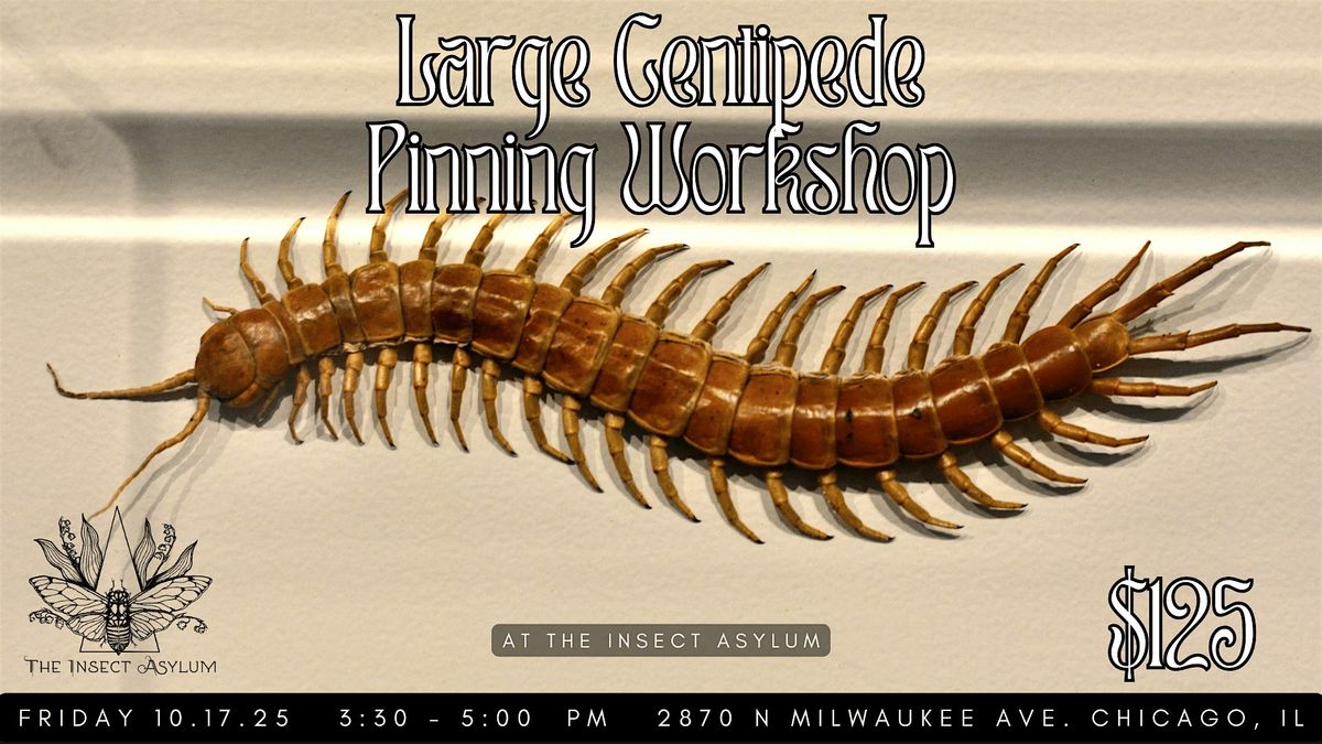 Large Centipede Pinning Workshop