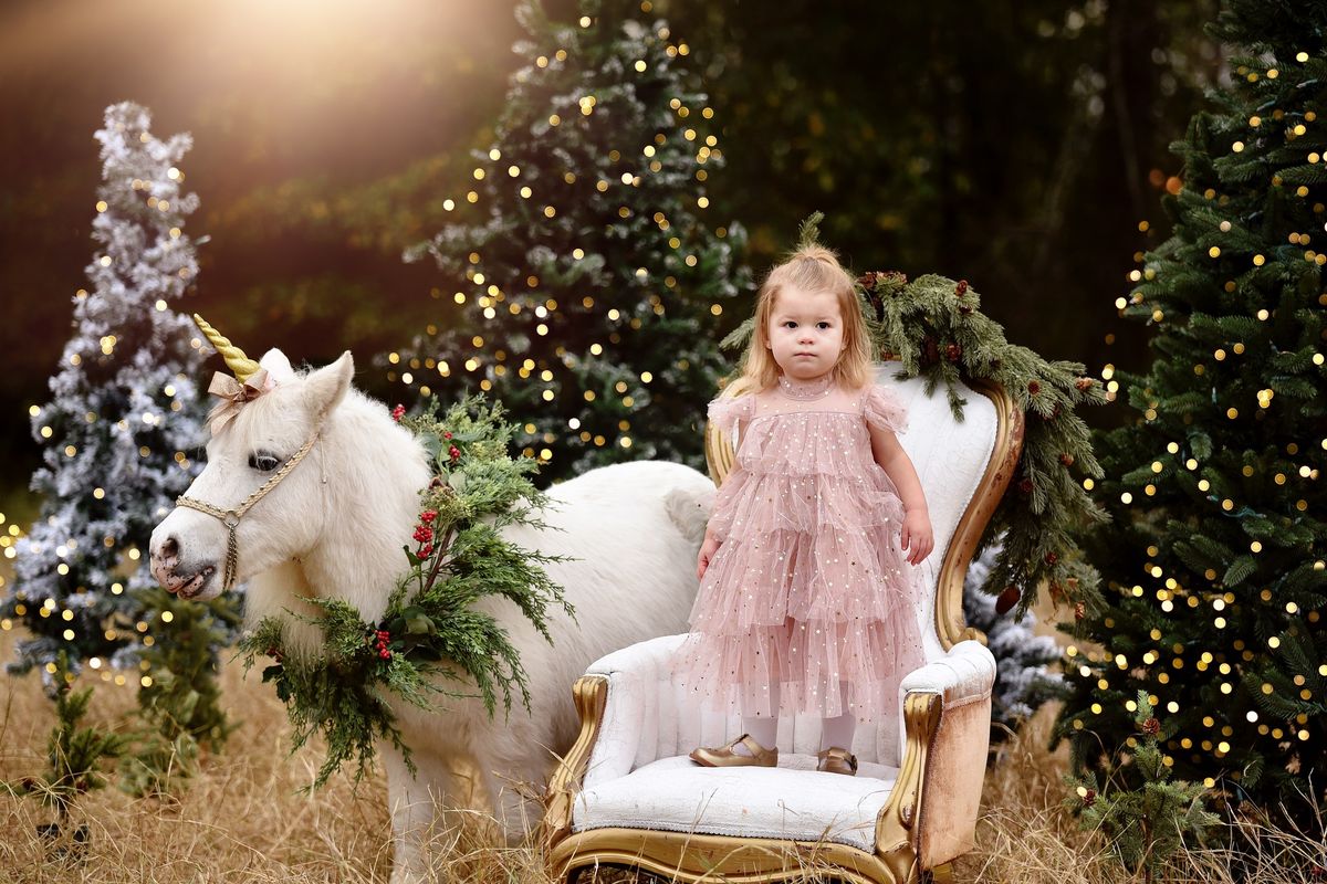 CHRISTMAS WINTER UNICORN MINI SESSIONS