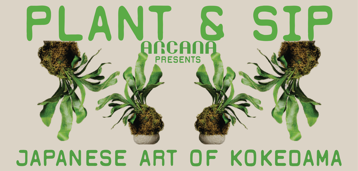 Arcana Plant & Sip with Anna - December