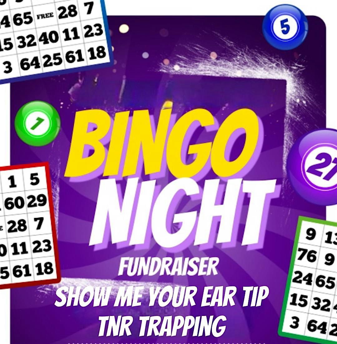 Bingo Afternoon  - benefiting community cats