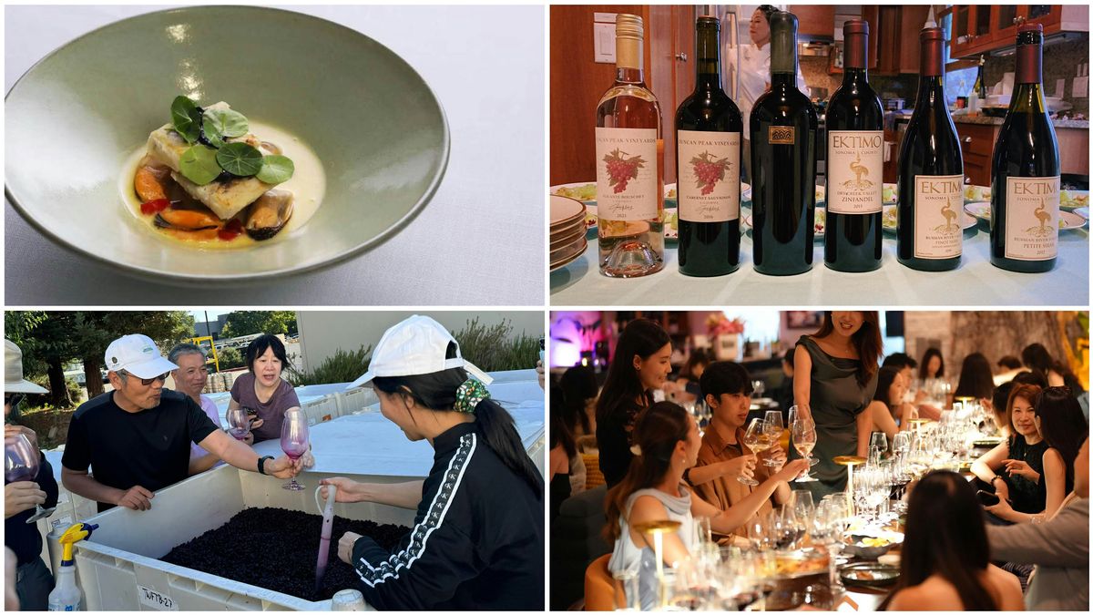 Harvest Celebration \u2013 From Grapes to Glass