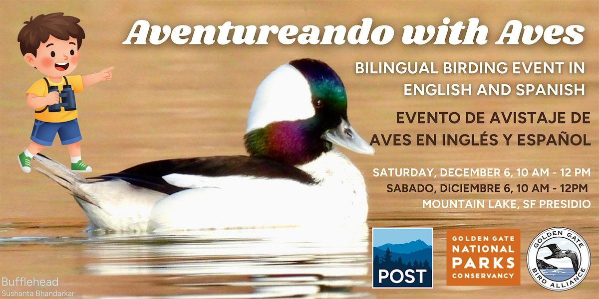 Birding Bilingually: Aventureando with Aves