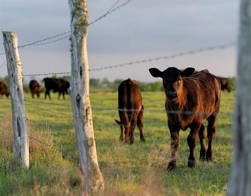 Collin County Spring Pasture Management Workshop