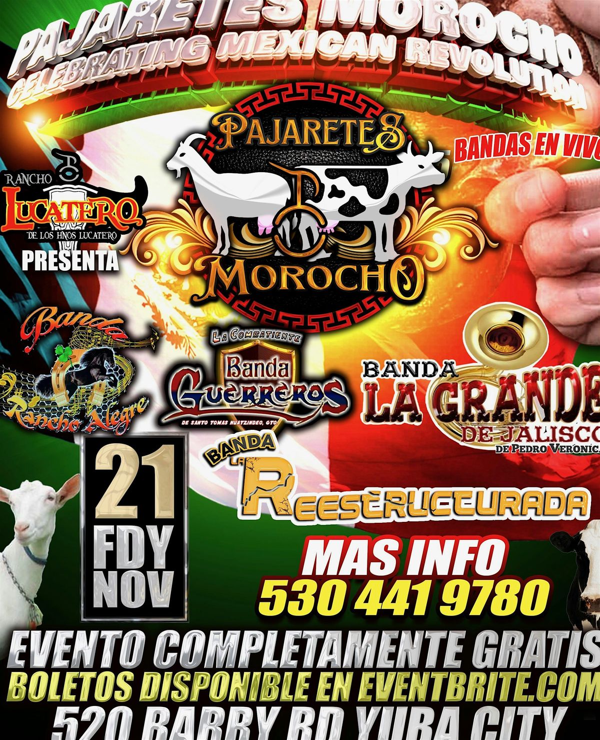 PAJARETES MOROCHO