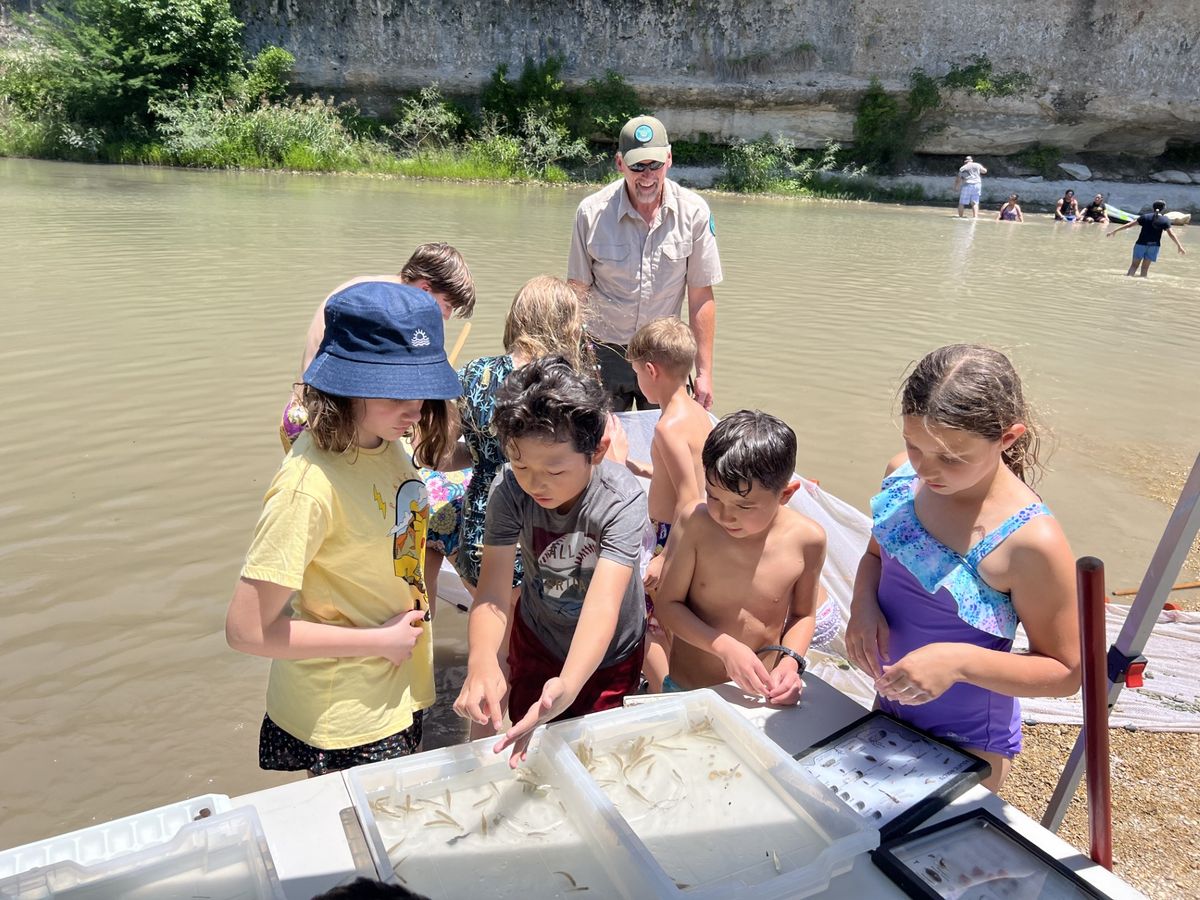 River Bugs, Oh My!