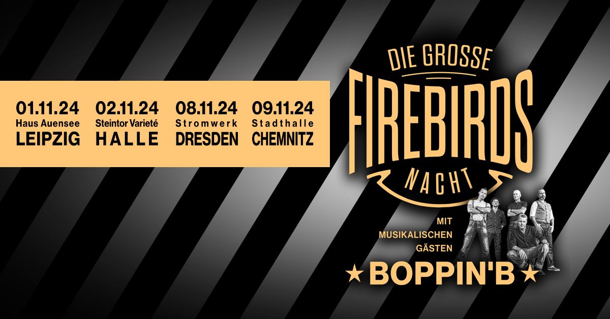 Die gro\u00dfe Firebirds Nacht I Halle