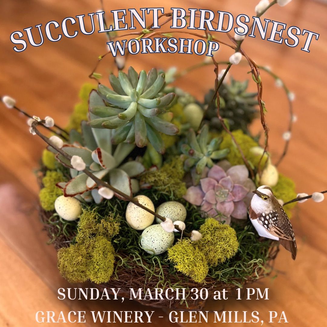 Succulent Birds Nest Workshop at Grace Winery in Glen Mills, PA 