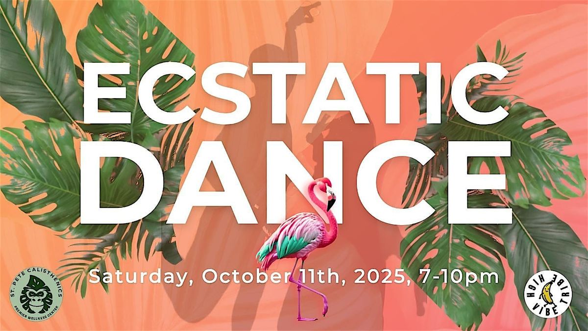 High Vibe Ecstatic Dance at St. Pete Calisthenics - Sat, Oct 11th!