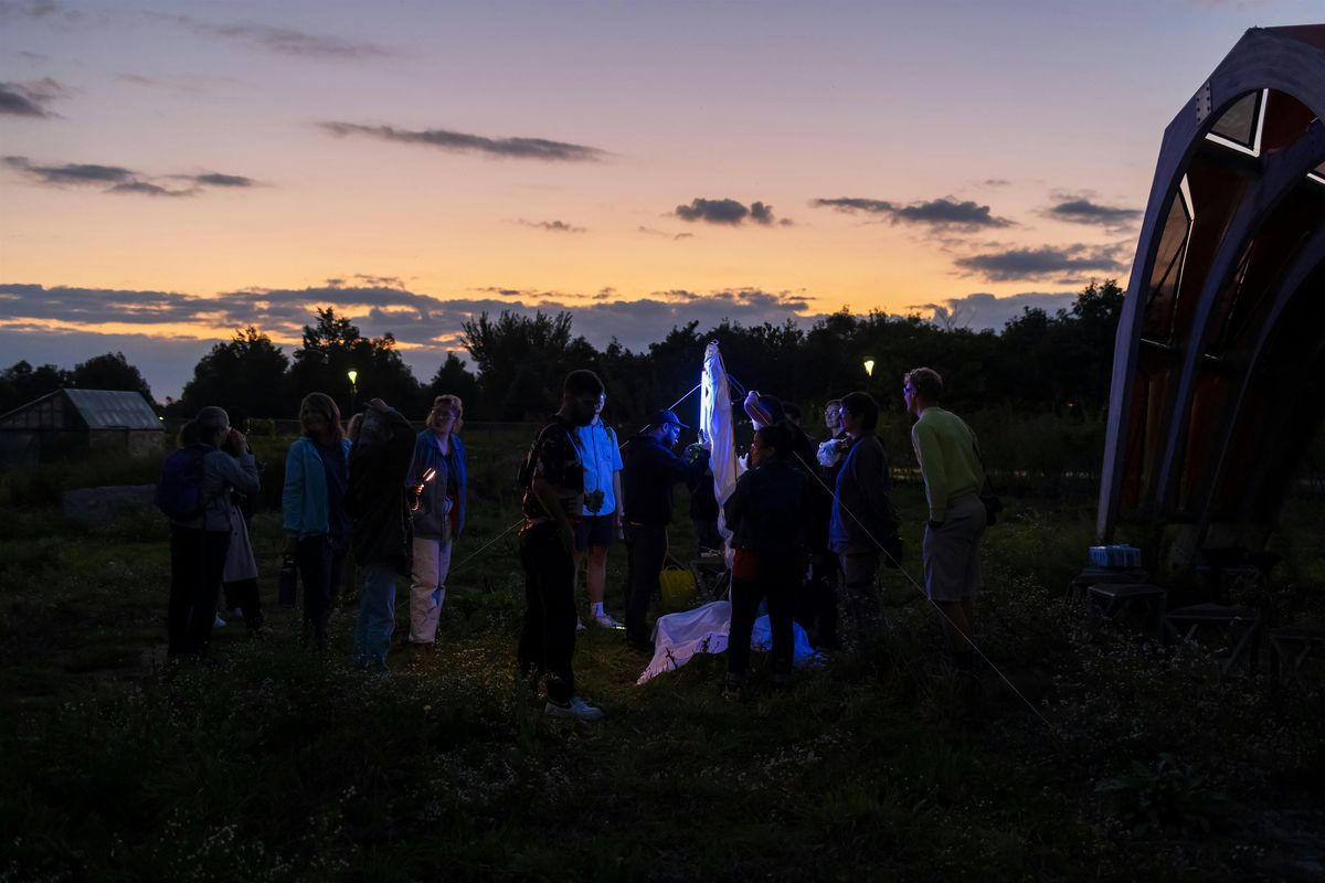 Community Science: Light Trapping on Governors Island (August 2025)