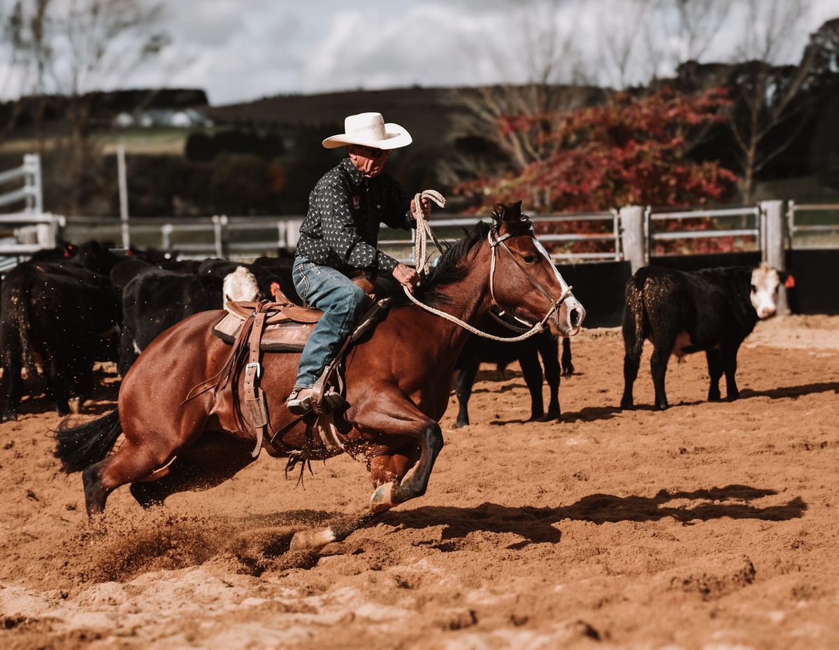 Phil Webb Horsemanship & Cutting Clinic