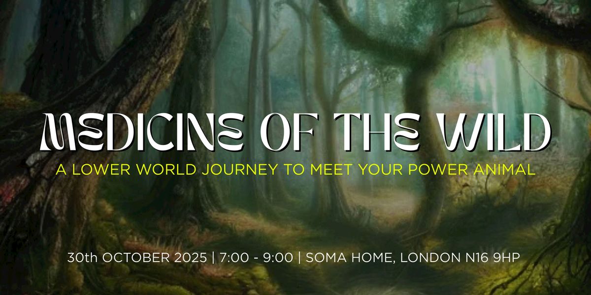 Medicine of the Wild - Meet Your Power Animal, Lower World Journey