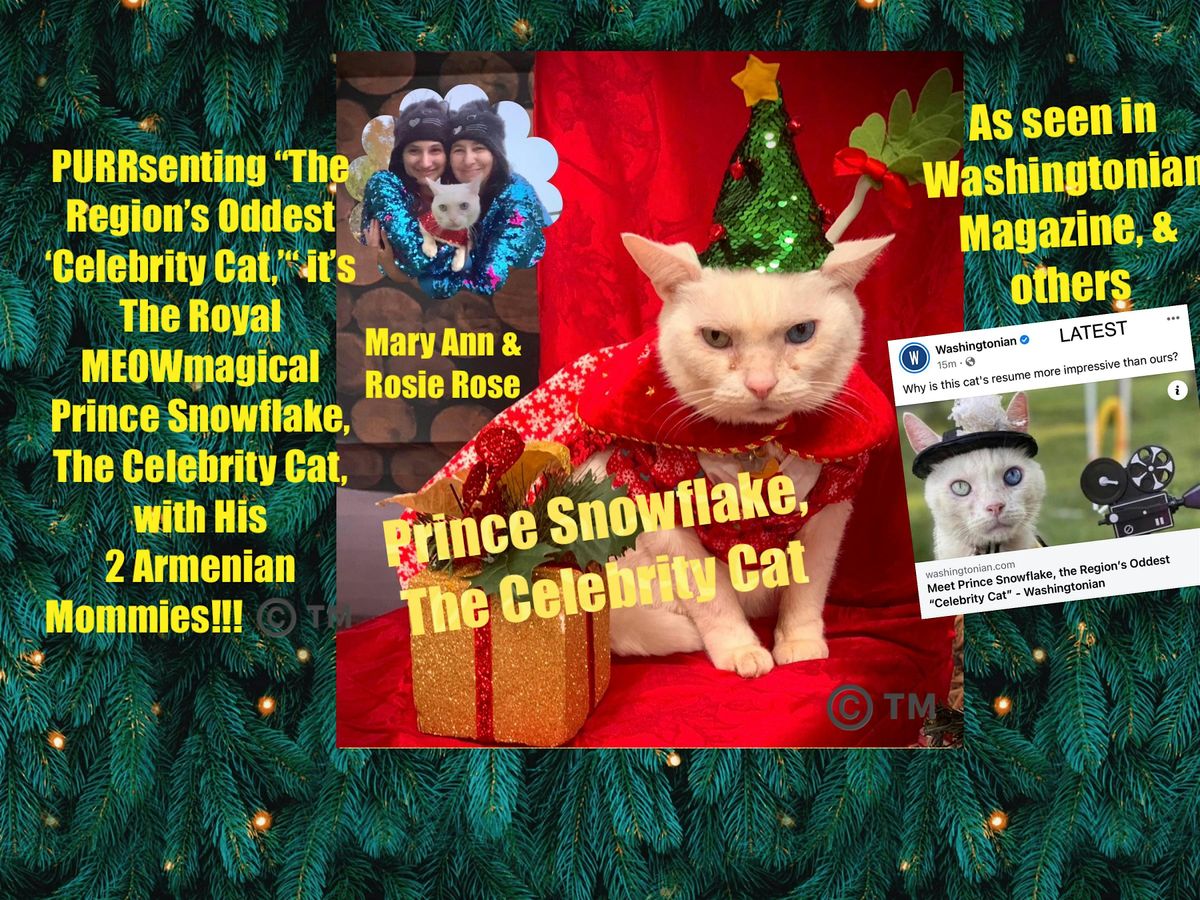 Prince Snowflake, The Celebrity Cat, Christmas PURRtacular  Show!!!