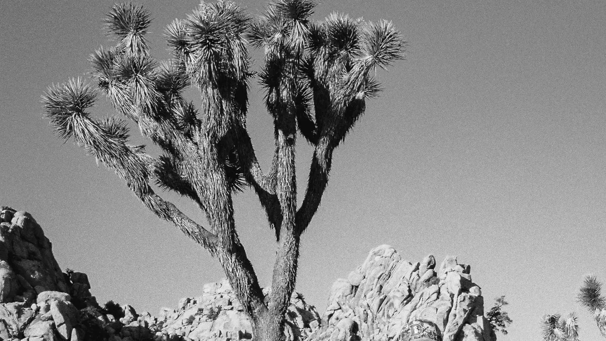 Spencer Crandall in Boise