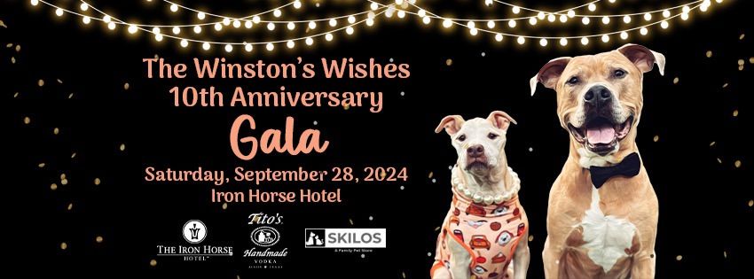 Winston's Wishes 10th Anniversary Gala \u2b50\ufe0f 