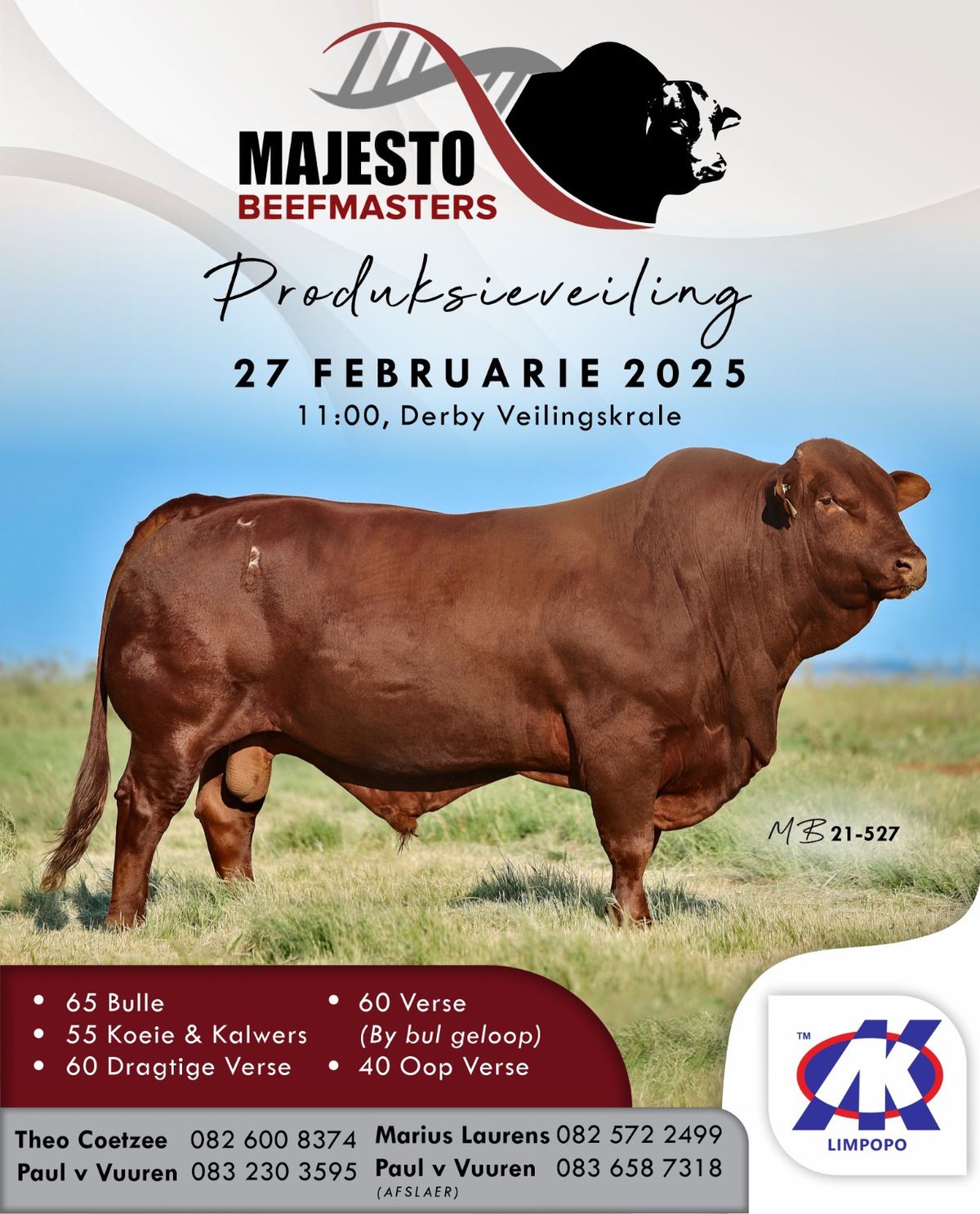 Majesto Beefmaster Veiling 2025