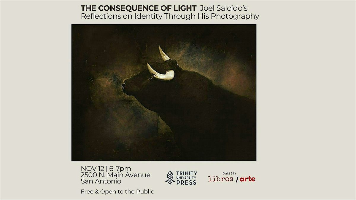 The Consequence of Light: A Conversation with Joel Salcido About Reflection