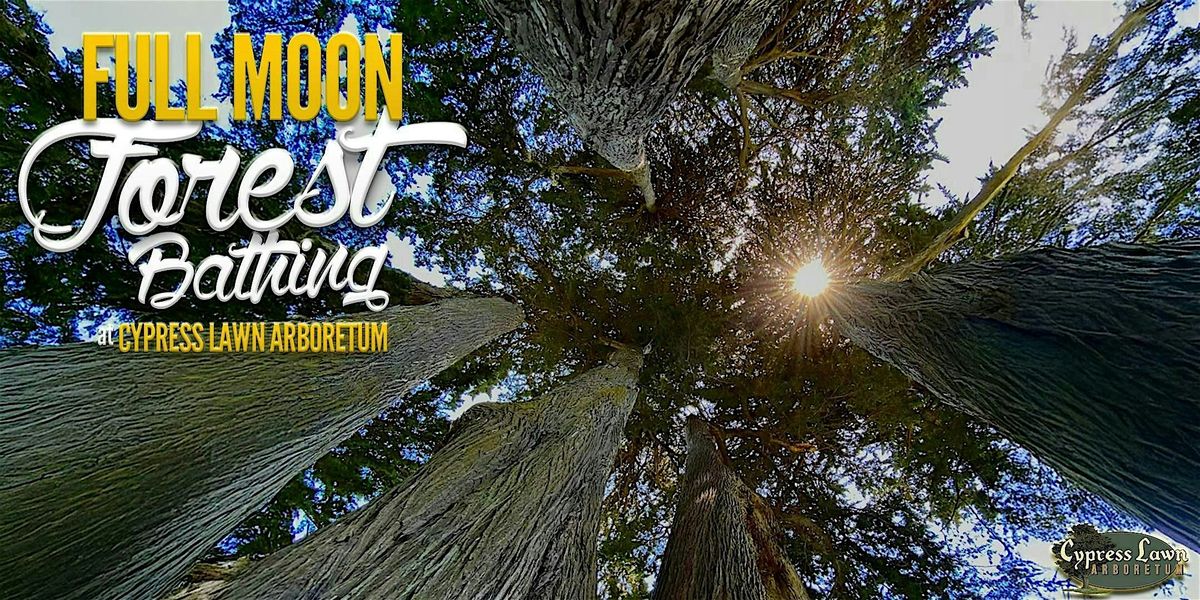 Full Moon Forest Bathing @ Cypress Lawn Arboretum