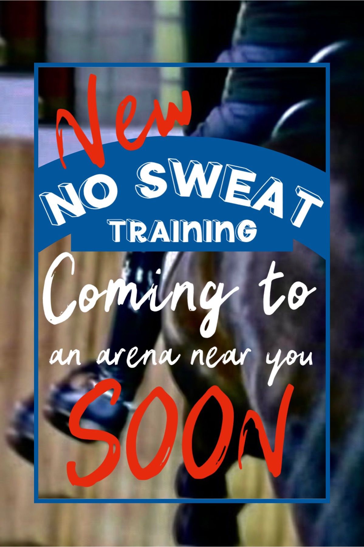 *NEW* No Sweat Training