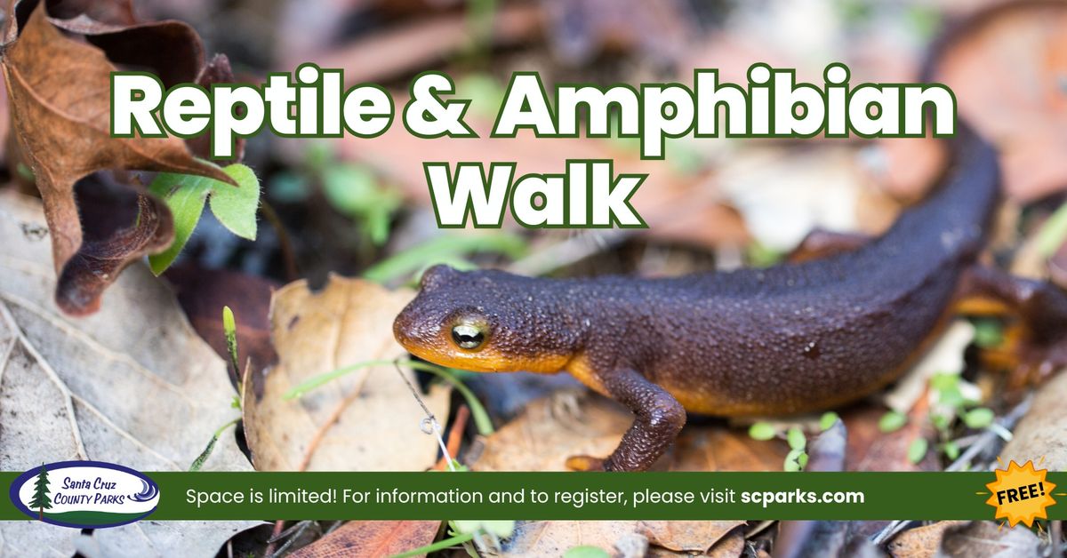 Reptile & Amphibian Walk