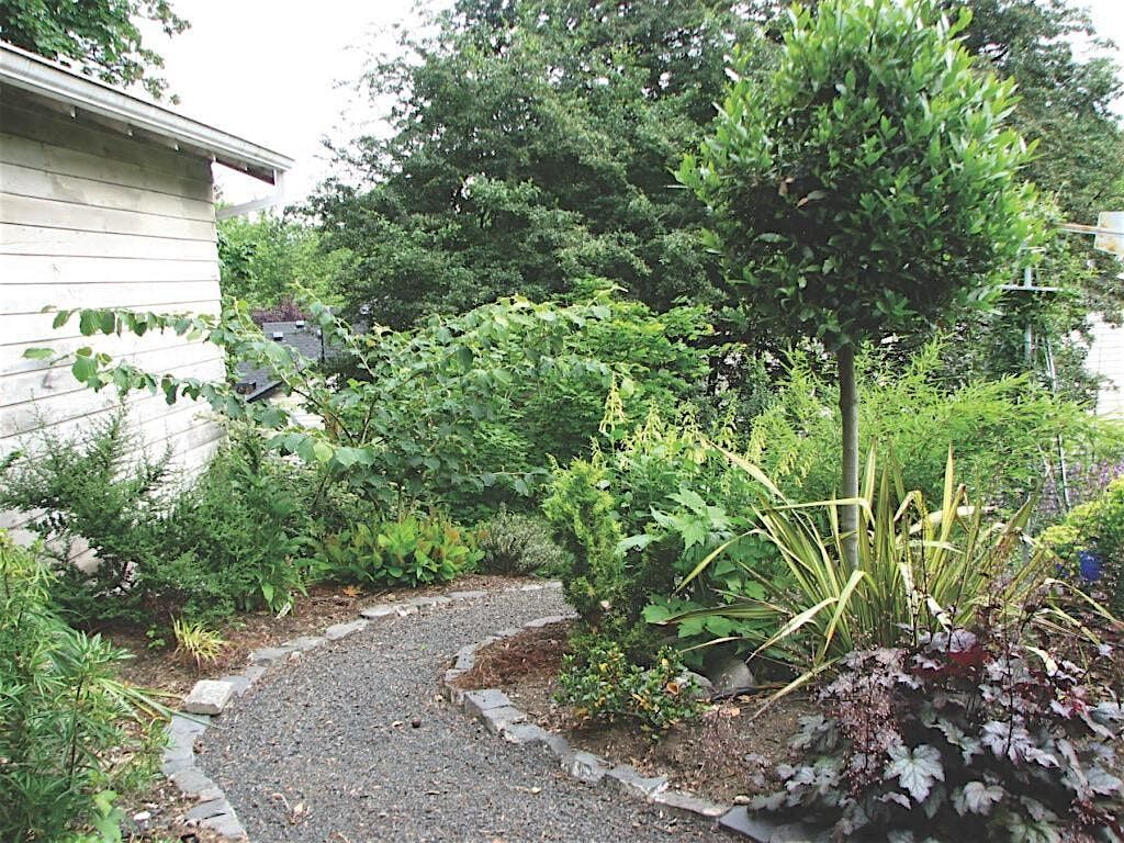 Climate Resilience: At Home, In Your Yard, and Beyond