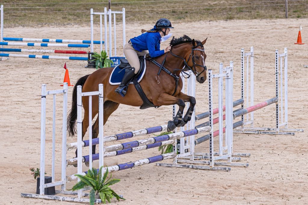 Mountain PC Showjumping Day