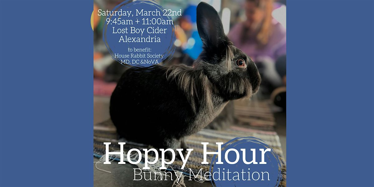 Hoppy Hour: Meditation with Bunnies at Lost Boy Cider