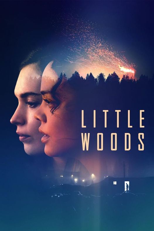 A Fund Texas Choice Screening: Little Woods