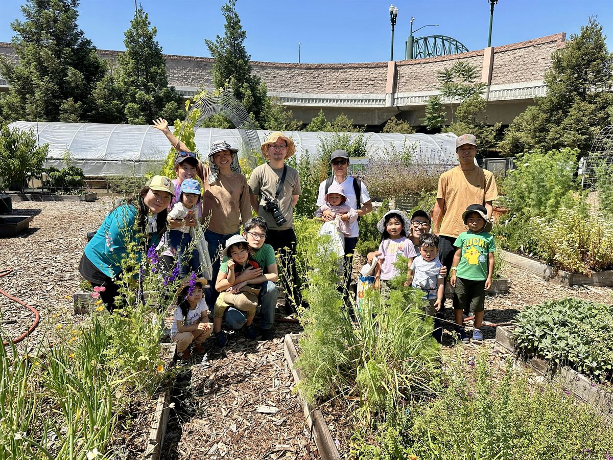 Garden Art Classes