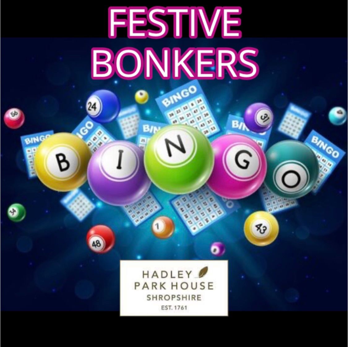 Festive Bonkers Bingo - Thursday 28th November 