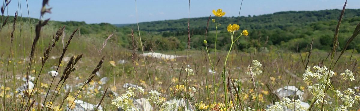 High Wycombe Nature Evening - Wycombe Arts Centre, Tuesday 18 November