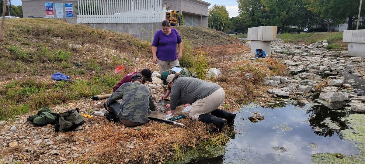 Fall 2024 Fassnight Creek Monitoring