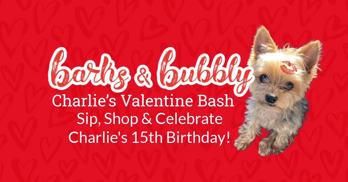 Barks & Bubbly: Charlie's Valentine Bash